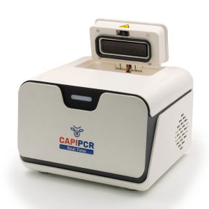 CapiPCR Real Time