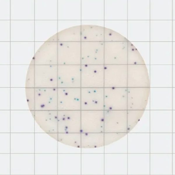 Placas de recuento rápido para Staphylococcus Aureus (Count Plate)
