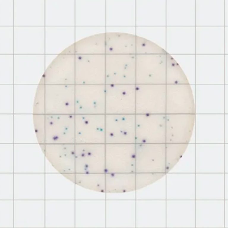 Placas-de-recuento-rápido-para-Staphylococcus-Aureus-(Count-Plate)