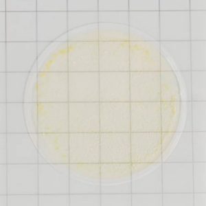 Placas de recuento rápido para Yeast & Mold (Levaduras y Moho)