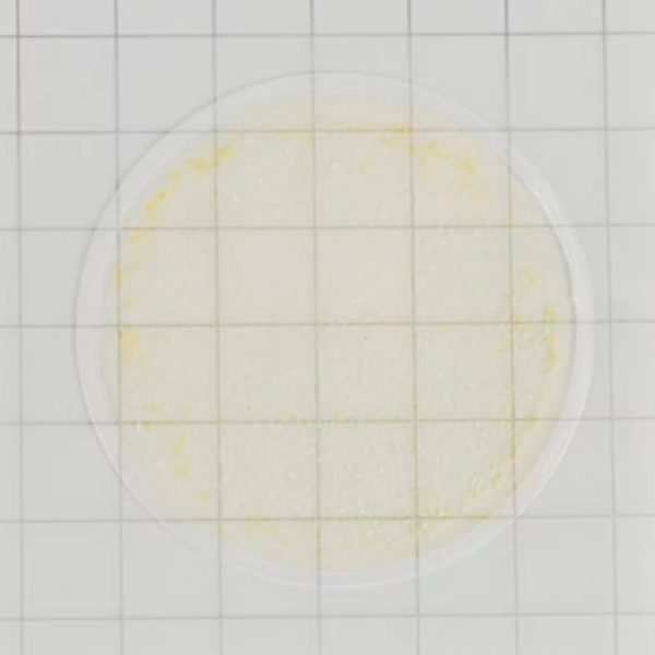Placas de recuento rápido para Yeast & Mold (Levaduras y Moho)