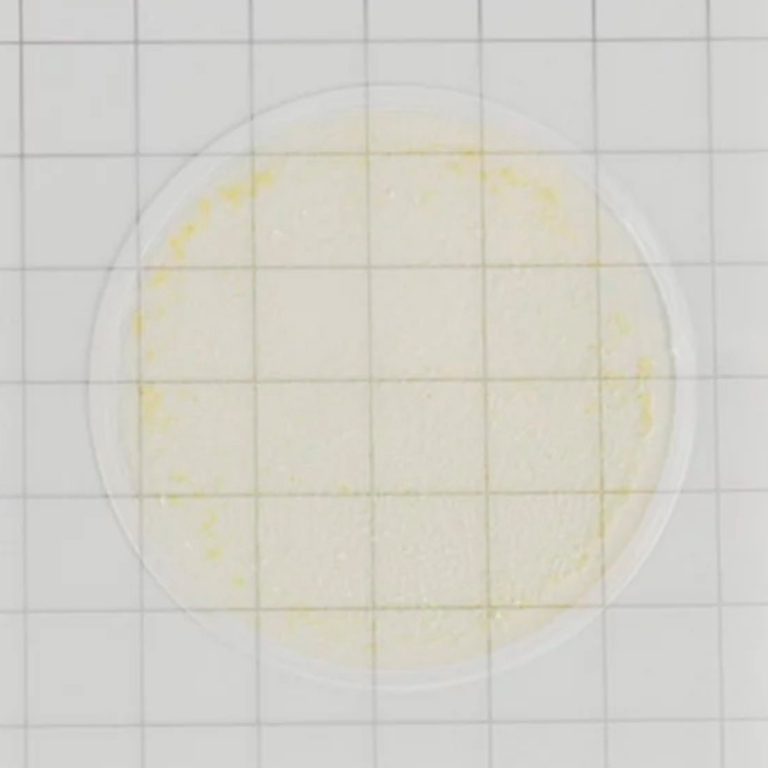 Placas-de-recuento-rápido-para-Yeast-&-Mold-(Levaduras-y-Moho)